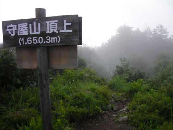 653　虫の飛来が鬱陶しいのでこれで東峰へ戻ります