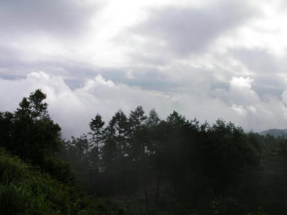 716　八ヶ岳方向は霧は薄くなったものの分厚い雲に覆われていますorz