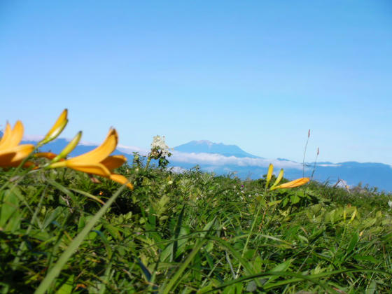 701　ニッコウキスゲと御嶽山