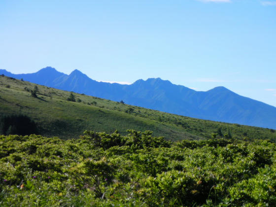 705 赤岳、阿弥陀岳、権現岳、編笠山