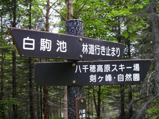 1347 剣ヶ峰への分岐案内