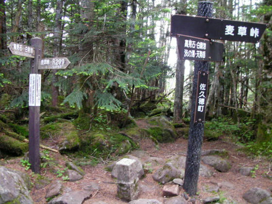 1456 三角点と標識があったので山頂かと思ったら…