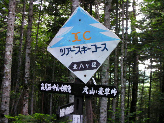 1510 こちらの方が斜度が緩めだったような気がしました。また岩ゴロながら泥濘も少なく快適でした