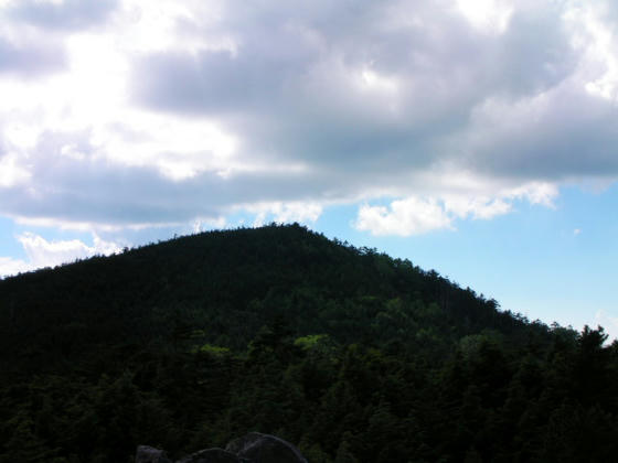 1516 丸山2329m山頂部