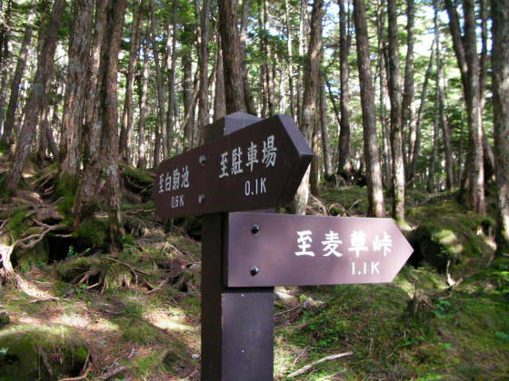 1601　白駒の池駐車場と麦草峠駐車場の分岐。後1.1Km