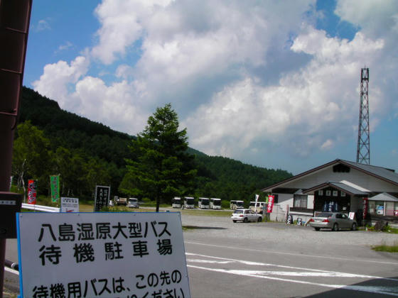 1346　やけに大型バスが多いと思ったら、八島湿原で客を降ろしたバスの待機所になっていました