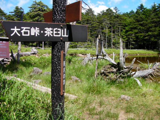 1345　R299から入ってすぐの地点。茶水の池というのがありました。分岐の見えてない方は雨池方面です