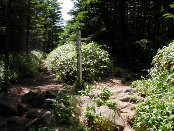 1355　右山頂、左五辻