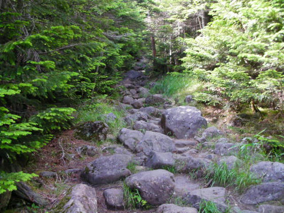 1359　こんな感じの沢登り的な登山道でした