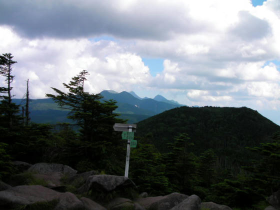 1519 南端展望地分岐