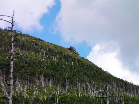 1549　ふと見上げると茶臼山展望地の巨岩が見えました