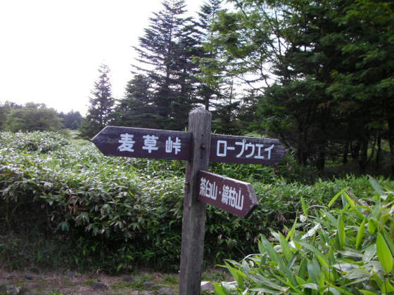 1604　鞍部分岐から20分延々と下って五辻分岐に出ました。
