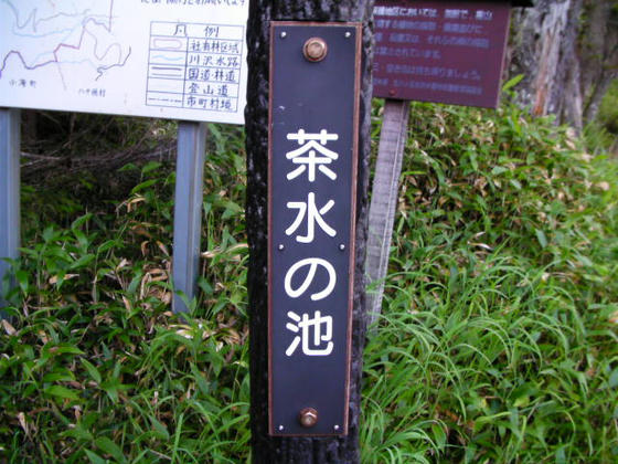 1657　読んで字の如し。茶色い水に見える池でした(苦笑)