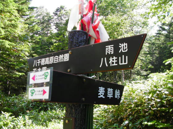 1454 ここで管理道路?のような林道へ一旦出ました