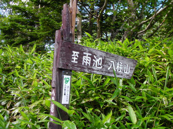 1500 林道を離れ再び登山道になります
