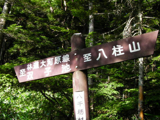1514 八柱山分岐