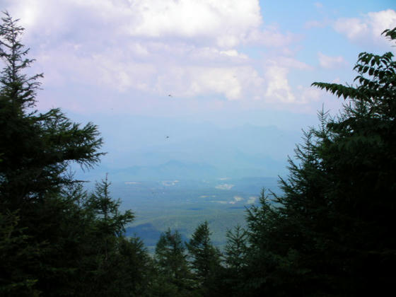 1534　八千穂側からの登山道のあるこの方向しか視界はありませんでした。しかも霞んでいて何処が見えているのか見当も付かずorz