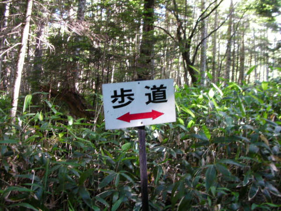 1549　登山道ではなく「歩道」…　　下山なのに8割方登りですorz