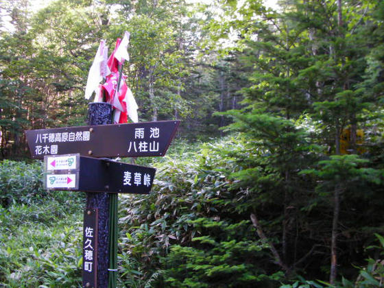 1625 ここで林道と分岐し岩ゴロ道の登りになります