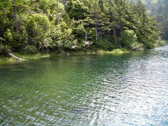 1442　こちらも綺麗な緑色の湖面です