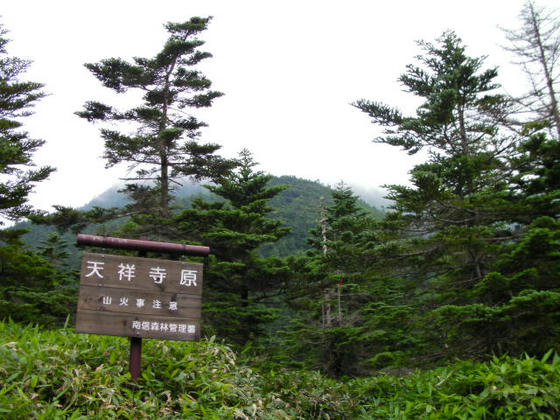 1538 開放的な谷地形の天祥寺平