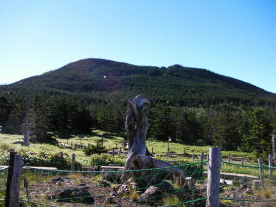 721 縞枯山方向