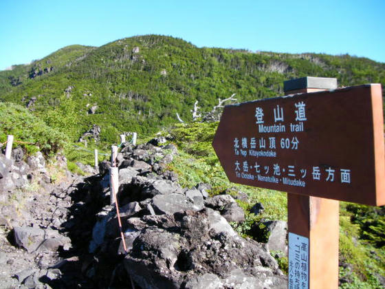 739　坪庭散策路から北横岳登山道への分岐。一旦岩ゴロを下ります