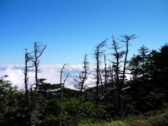 826　群馬県境方向は雲が多く樹林もちょっとかかって視界が悪かったです