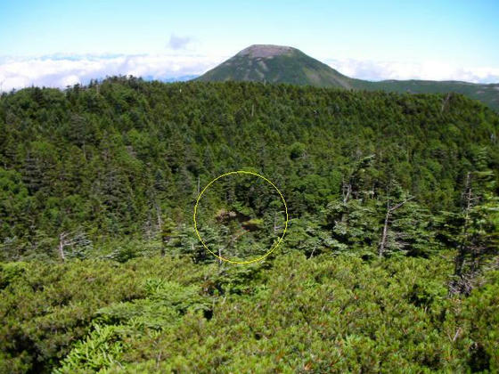 928　地形図で気になっていた池を発見できました。黄色い丸の中です