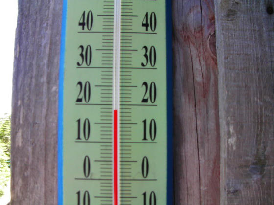 950　北横岳ヒュッテに戻ると温度計が。18.5℃を差していました