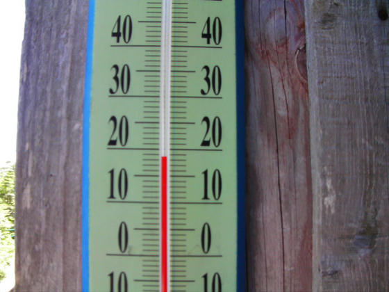 950 北横岳ヒュッテに戻ると温度計が。18.5℃を差していました