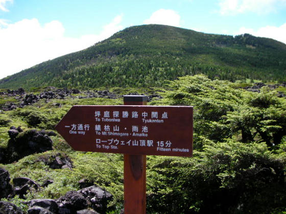 1021 坪庭へ合流です。一方通行なので左折しかできませんorz