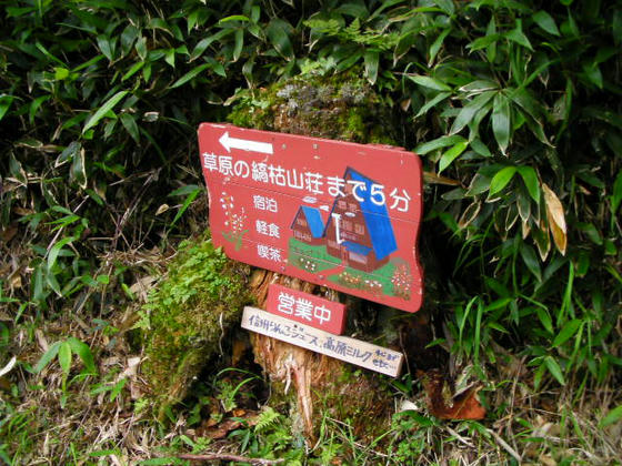 1027　雨池峠と山頂駅への分岐です。半端に時間があったので縞枯山荘＆雨池峠へ行って見ました