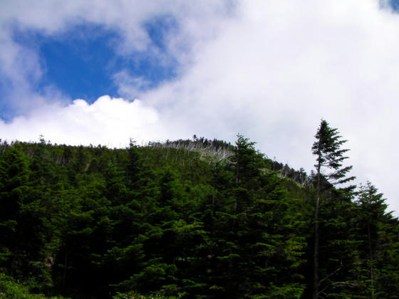 1038 雨池山山頂方向