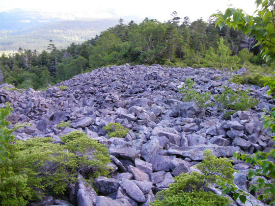 650 天狗の路地は抱きかかえられそうなサイズの岩が積み重なって、北方向の視界が開けています