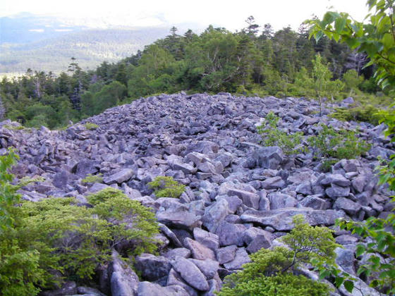 650　天狗の路地は抱きかかえられそうなサイズの岩が積み重なって、北方向の視界が開けています