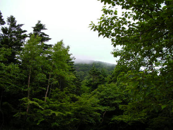 723　では雲の中の蓼科山山頂へアタック