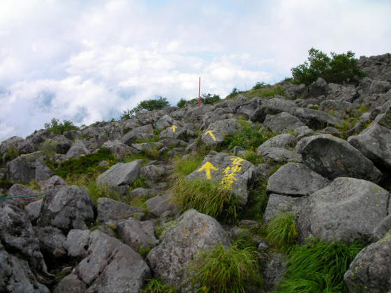 906 西面を登ってきて山頂直下で東側にトラバースしてくるようです