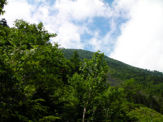 1003　山頂方向は晴れたように見えましたが、すぐにまた霧に包まれました