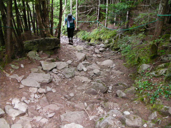 1012　再び下山開始