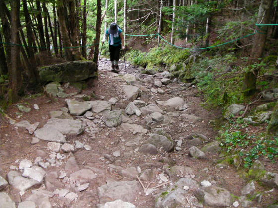 1012 再び下山開始