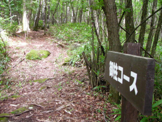 1359　コース案内の看板があり、踏み跡も明瞭なので迷うことはないと思われます