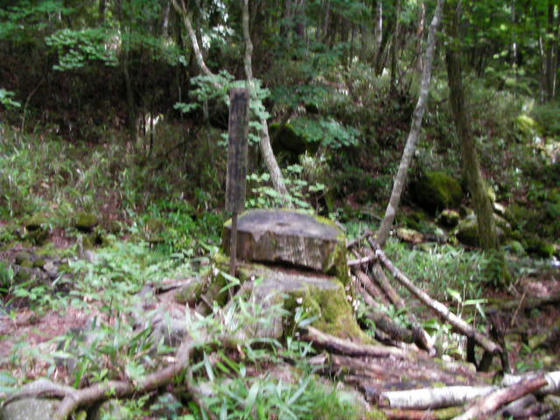 1413 前宮四之御柱 登りではこれしか見つけられませんでした
