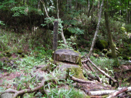 1413　前宮四之御柱　登りではこれしか見つけられませんでした