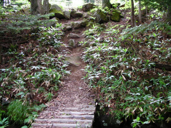 1421　水平道はここで終わり再び登りになります