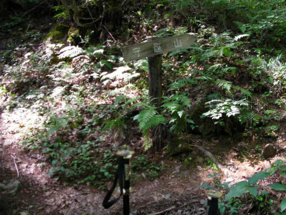 1407　上り口には何も看板類が無かったので不安でしたが、どうやらこの登山道で良いようです