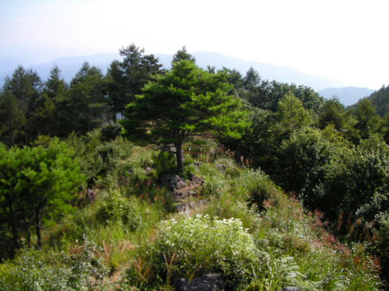 1518 好転は望めないので下山です