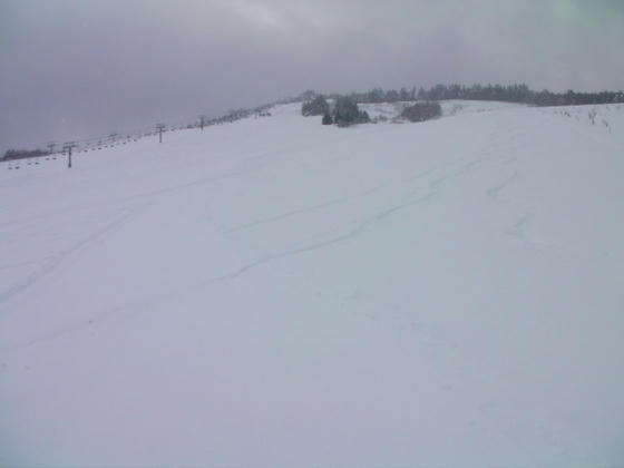 1240　現状コース名はありませんが、圧雪はしてあったので滑走可能と判断しました。滑ったのは圧雪部と植林部の間の未圧雪部ですが(苦笑)