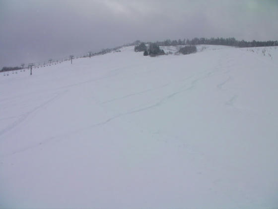 1240 現状コース名はありませんが、圧雪はしてあったので滑走可能と判断しました。滑ったのは圧雪部と植林部の間の未圧雪部ですが(苦笑)