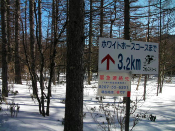 938 ショートカット地点まで残り3.2kmと信じていた…この時点では…